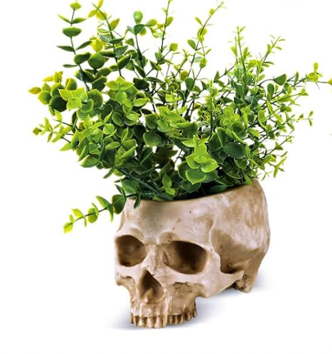 Memento Mori Planter