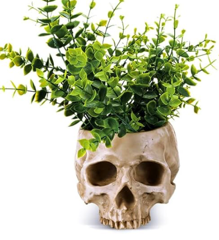 Memento Mori Planter