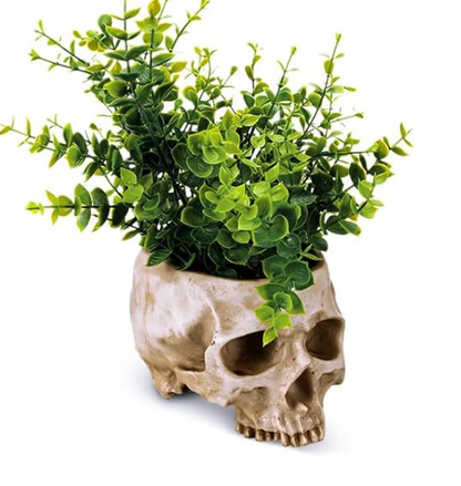 Memento Mori Planter