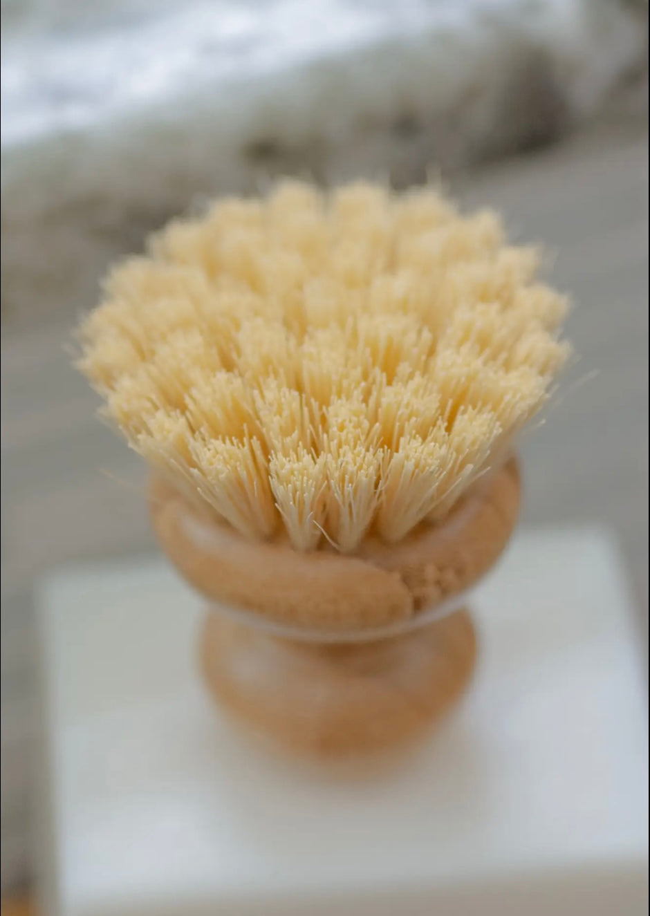 Casa Agave Dish & Pot Scrubbers